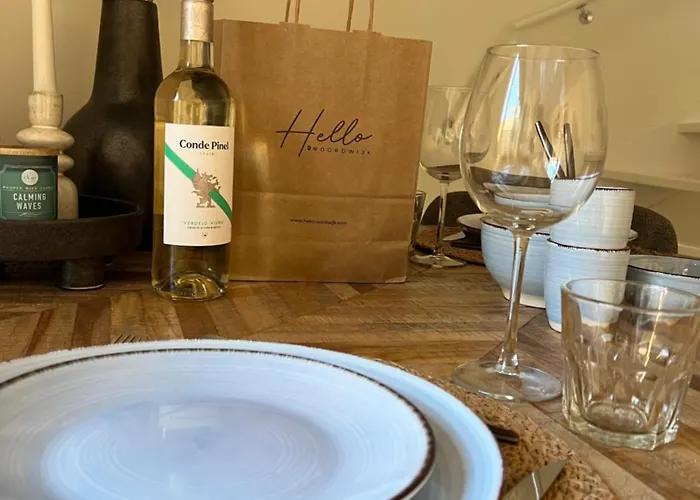 Beachhouse Ibiza 19a Apartment Noordwijk